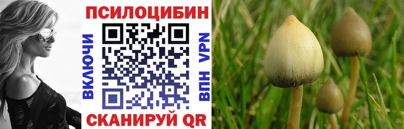 кракен ССЫЛКА  Тавда  Галлюциногенные грибы мицелий 